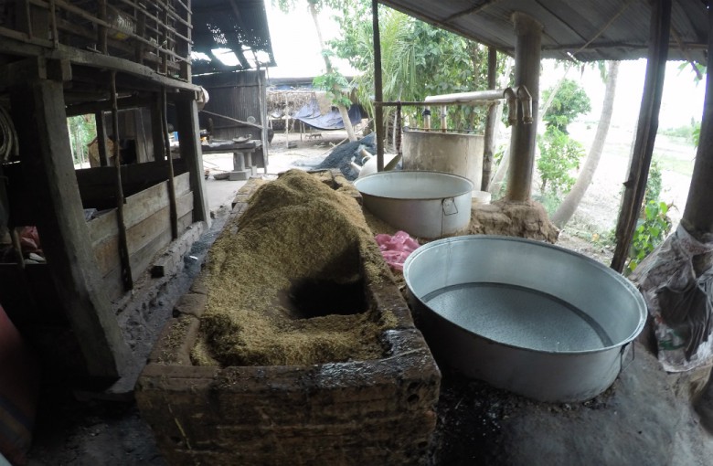 Reisproduktion in Kambodscha